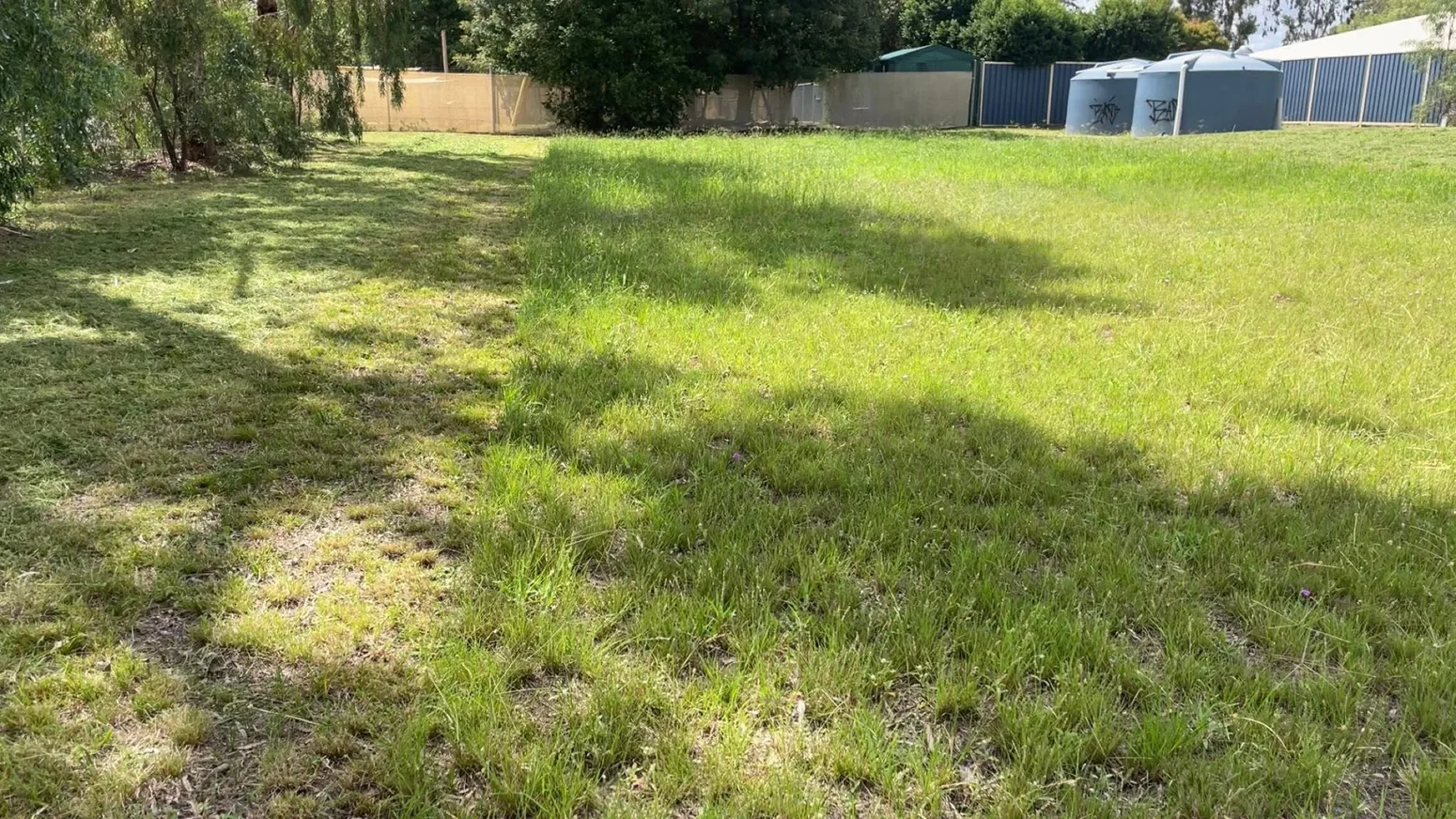 Partially mowed long grass showing the progress of mowing a large residential block